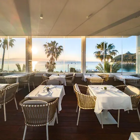 Nautilus Excelsior - Adults Only